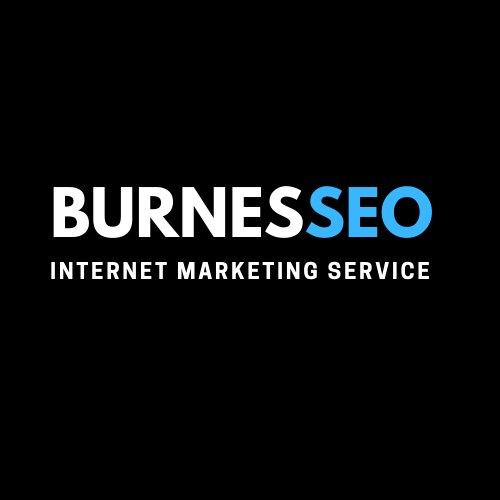 Isilumko-Activate Logo of burnessseo, featuring bold white lettering with a blue accent over the 'seo' part, against a black background, and 'internet marketing service' below in smaller text.
